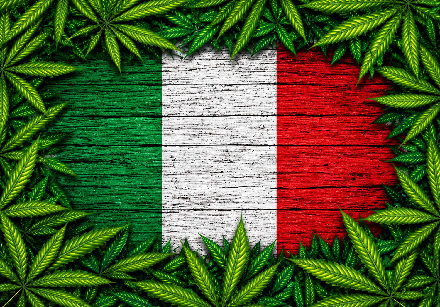 buy weed in italy
