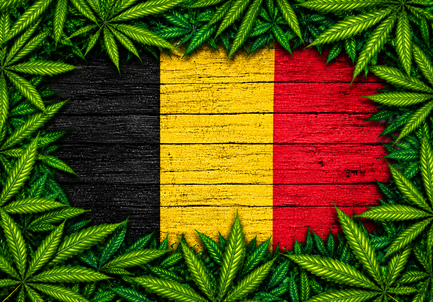 buy cannabis belguim