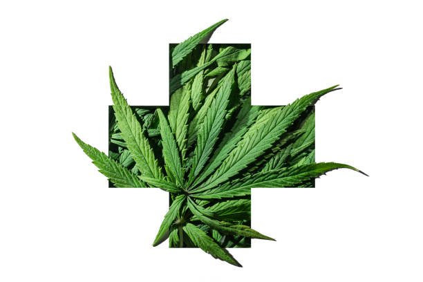 cannabis green europe
