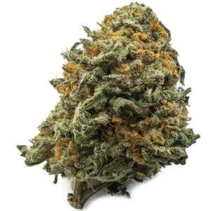 Black Cherry Gelato Strain