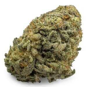 Buy Tropic Truffle Cannabis Strain