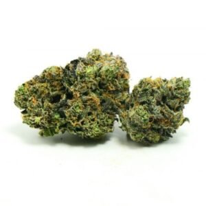 EL Chapo Cannabis Strain UK