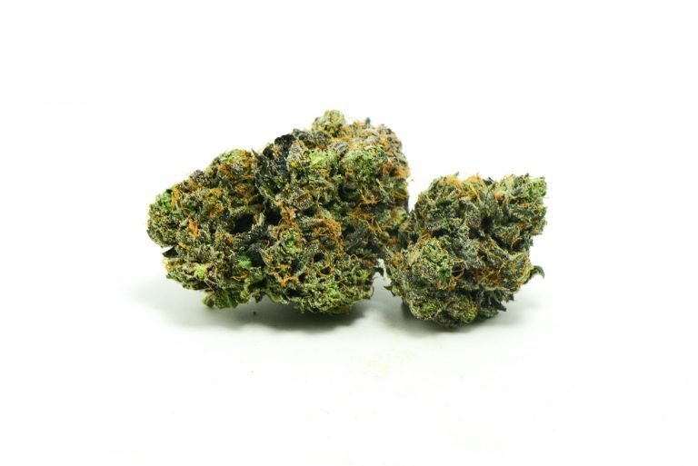 EL Chapo Cannabis Strain UK