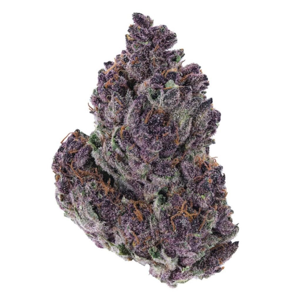 granddaddy purple strain min 1024x1024 1 1.jpeg