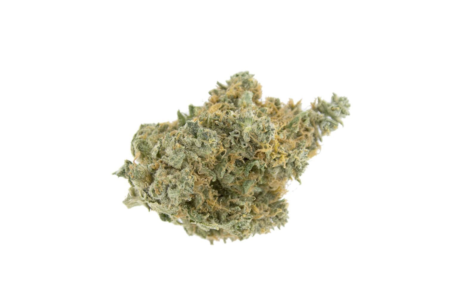 Master Kush Weed Strain UK