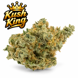 Master Kush Weed Strain UK