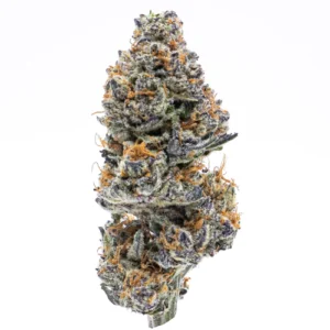 Northern Lights Weed Strain UK strain northern lights