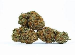 Bubblegum Kush