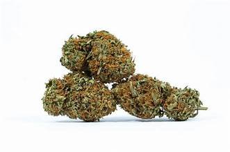 Bubblegum Kush