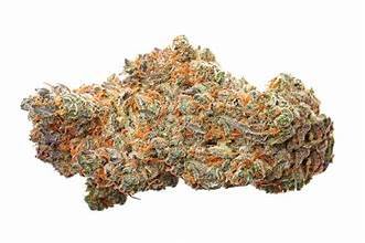 Northern Lights