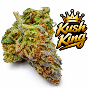 Purple-Punch-Weed-Strain