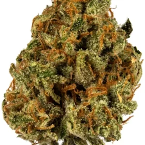 super lemon haze .webp